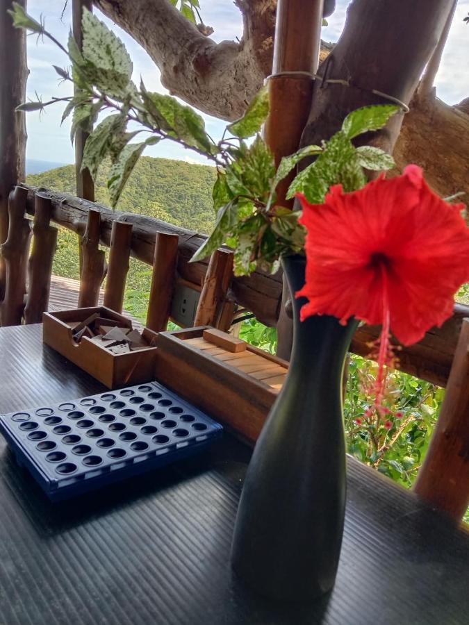 Tree House Bungalows Ko Tao Exterior foto