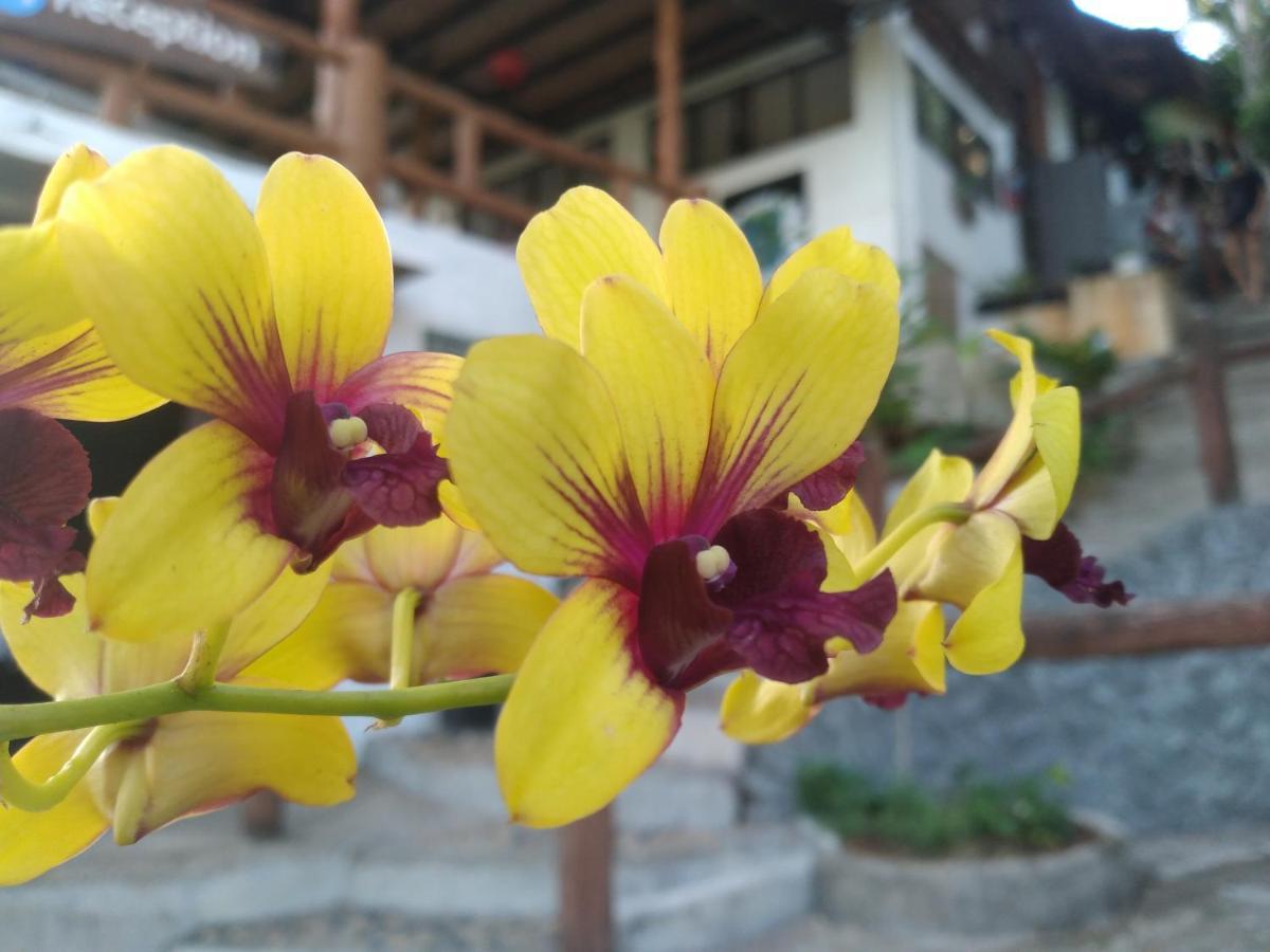 Tree House Bungalows Ko Tao Exterior foto