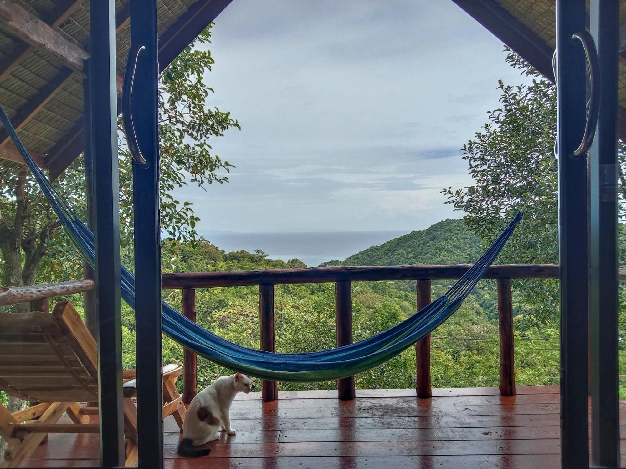 Tree House Bungalows Ko Tao Exterior foto